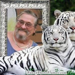 Meet your Posher, Harold